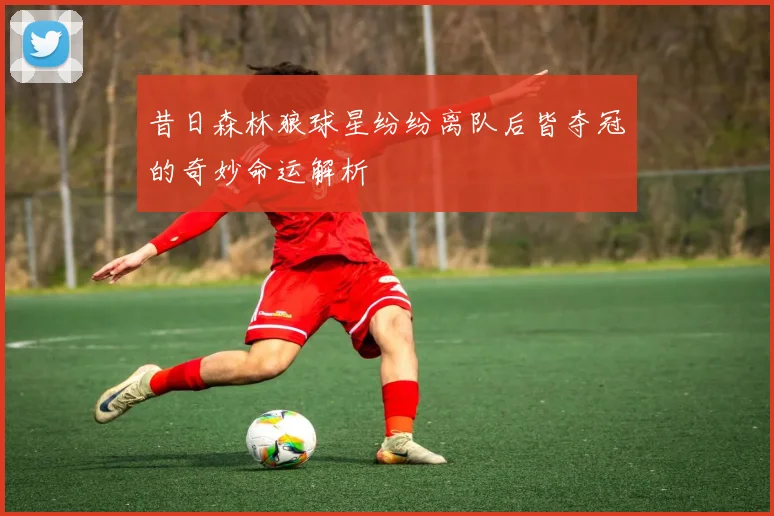 昔日森林狼球星纷纷离队后皆夺冠的奇妙命运解析