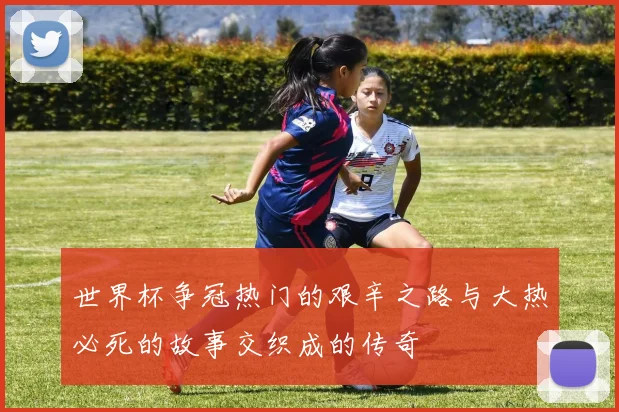 世界杯争冠热门的艰辛之路与大热必死的故事交织成的传奇